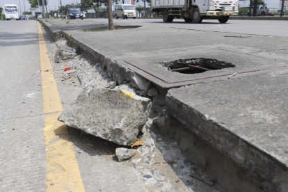 Los parterres de la avenida Narcisa de Jesús se deterioran.