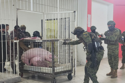 Los animales fueron hallados todavía vivos y se indaga cómo fueron ingresados.