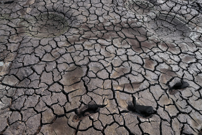 Fotografía de archivo de tierra seca en la represa Los Laureles, que abastece de agua a Tegucigalpa (Honduras). EFE/Gustavo Amador