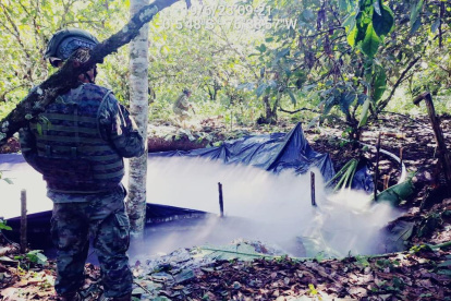 Operativo. En Shushufindi se ocultan lugares de procesamiento de droga en medio de las plantaciones.