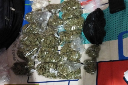 Los sospechosos fueron capturados en sus viviendas la madrugada del martes 20 de junio.