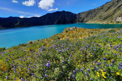 El Páramo Quilotoa, ubicado en la región interandina, uno de los pastizales más reconocidos del terriotorio ecuatoriano.