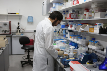 Madrid. Un laboratorista revisa una serie de muestras.