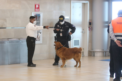 Vuelo. Los agentes de la Policía deben revisar un vuelo proveniente de Países Bajos.