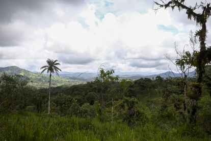 Sector de Nanegalito, parte del Chocó Andino, área metropolitana de Quito.