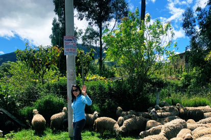 Luisa González introduce en las redes sociales la campaña de los borregos