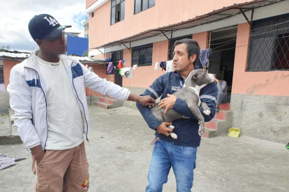 Rescate. La Unidad de Bienestar Animal intervino en este caso para poner a buen recaudo al animalito junto a otros dos