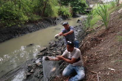 Los residentes de Jardines del Salado muestran a EXPRESO la grasa que cubre las aguas de este brazo de mar.