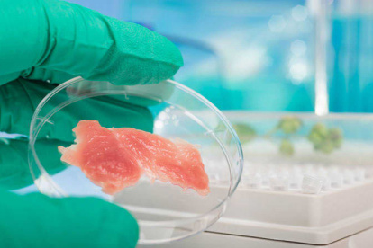 Para la creación de esta carne