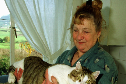 Atención. Los tutores trasladan hábitos alimenticios, incluso  pereza y desorden nutricional y de salud a sus perros.