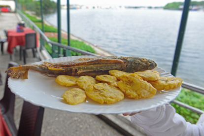 Favorito. Entre los platos más solicitados está la corvina frita, que tiene un valor de ocho a nueve dólares, dependiendo de su tamaño. También se vende el filete de picudo.