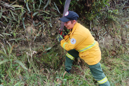 Minga. Brigadistas colaboran con la comunidad en Nono.