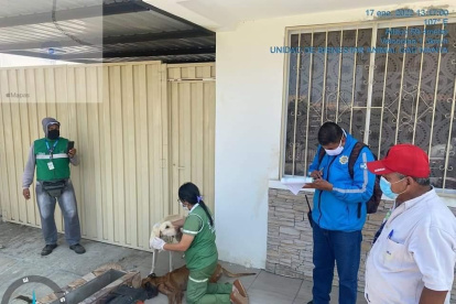 Un juez dictaminó 3 años de cárcel y 40 horas de trabajo comunitario para el dueño del can.