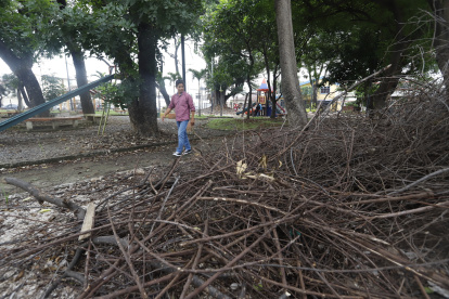 Quienes visitan los parques de Albatros deben caminar por senderos resbaladizos por el moho que los cubre, debido a la falta de limpieza y mantenimiento.