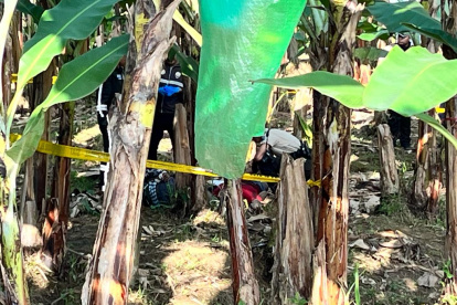 Los cuerpos de dos jóvenes asesinados fueron hallados en una plantación bananera del cantón Pasaje, El Oro.