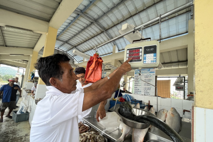 Dorado. En los mercados se encuentra la libra de dorado desde 1,80 dólares.