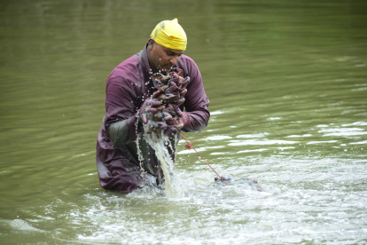 Una vez que Xavier Pérez arma el atado, los lava en el estero; su jornada empieza a las 07:00.