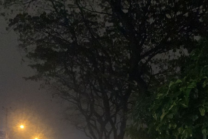 Daños. También se reportó, como ha pasado últimamente, la caída de árboles.