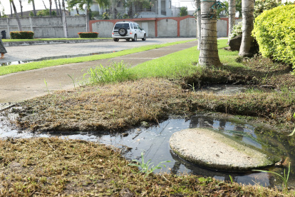 Reclamos. Los vecinos se quejan por el mal estado de algunos pozos sépticos.