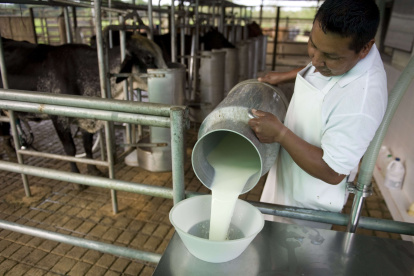 Hacienda.- La producción de leche en el país.