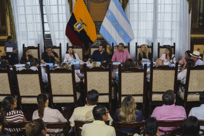 Sesión. Diferentes concejales opinaron sobre el proyecto de ordenanza.