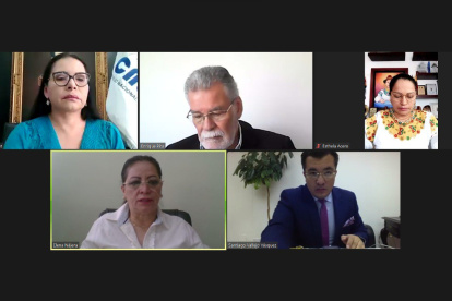 En sesión de pleno número 51, el órgano electoral acreditó a los observadores.