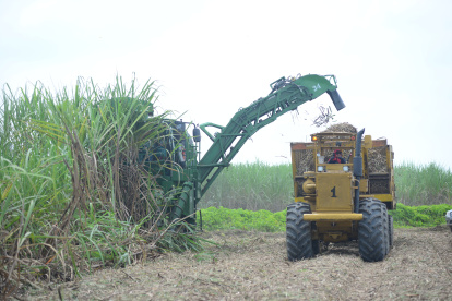 Carreteras. Los agricultores se quejan del mal estado de las vías.