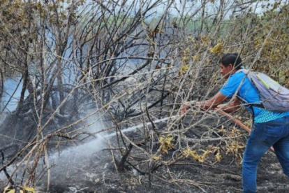 Daño. Se cree que los restos de una fogata generó el hecho.