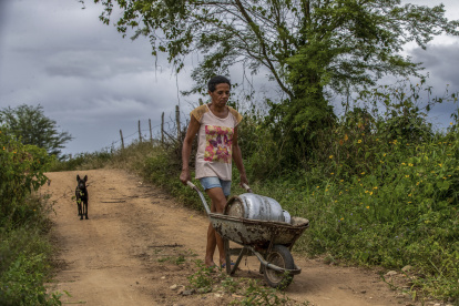 Campo.- Los trabajos que una persona realiza en el agro de Brasil.