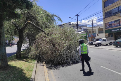 Cierre. Un carril de la Av. de los Shyris fue cerrado por un árbol caído.