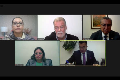 Durante la sesión la consejera Elena Nájera denunció que los informes técnicos al respecto del voto telemático no le llegaron con anticipación.