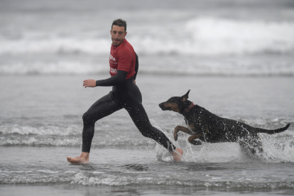 Nexos. Se han descrito muchos casos de lealtad incondicional de los perros para con sus tutores.