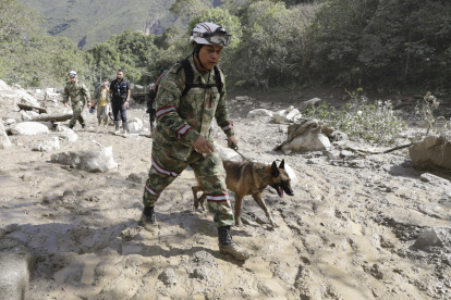 Un integrante del Ejército de Colombia busca sobrevivientes con un perro de rescate hoy, en el sitio de una avalancha en Quetame (Colombia). Con un mar de lodo hasta las rodillas y entre muebles y vehículos arrastrados por el barro, familiares de las víctimas de la avalancha que arrasó el caserío de Naranjal, en el pueblo de Quetame, en el centro de Colombia, buscan desesperadamente a los desaparecidos con la esperanza de encontrarlos vivos. EFE/ Carlos Ortega