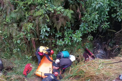 Laborioso. Los bomberos y la comunidad ayudaron en este trabajo.