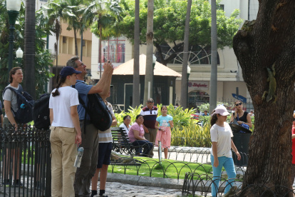 Parque Seminario. Ubicado en el centro de la urbe, es hogar de decenas de iguanas que pasean libremente, convirtiéndose en atractivo turístico.