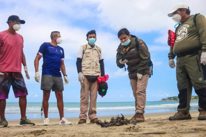 Suceso. Especialistas en el tema han recogido algunas aves muertas.