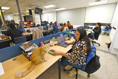 REDACCIÓN. celosamente por el nuevo integrante: El Colorado.