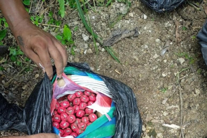Evidencias. Miembros de Fuerzas Armadas decomisaron explosivos durante operaciones militares.