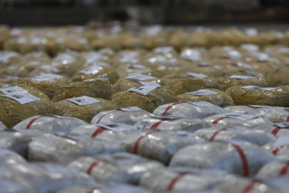 El piloto y el resto de los ocupantes aún están siendo buscados por las autoridades.