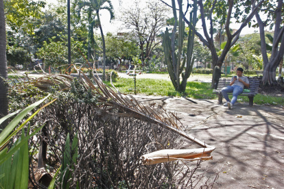Vista. El parque Antonio Neumane luce lúgubre. Las ramas secas de las plantas invaden el predio.