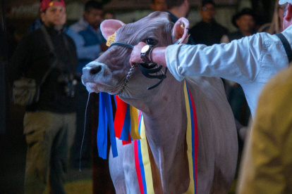 La iniciativa busca cooperar entre los actores del sector.