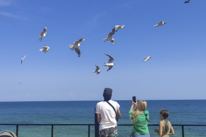 Una mujer fotografía aves en una playa de Odesa. El bloqueo ruso de los puertos de Odesa recientemente reanudado acentúa el profundo estrangulamiento de la economía de la región, mientras la ciudad sufre por segundo año consecutivo un golpe a su estatus de destino turístico.