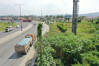 Vista. La flora ha llegado hasta el tope de los postes eléctricos.