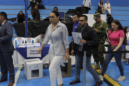 La solicitud fue ingresada a finales de julio y hasta este 3 de agosto de 2023 el CNE no tenía una respuesta.