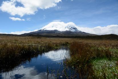 Restauración. Desde el 2015 se inició un proceso de recuperación de unas zonas que fueron destruidas por el ganado bovino y ovino, ya que el predio era una hacienda ganadera.