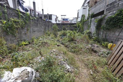 La maleza crece en varios predios desocupados de la urbe.
