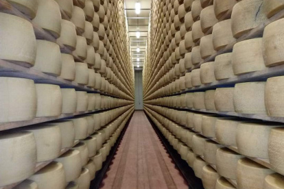 Imagen referencial de los quesos Grana Padano.