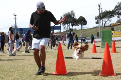 Tenencia. A través de herramientas lúdicas se enseñan destrezas.