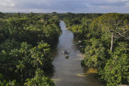 Fotografía aérea de un bote navegando por un río en una zona de la floresta Amazónica, el 6 de agosto de 2023, en el estado de Pará, norte de Brasil.