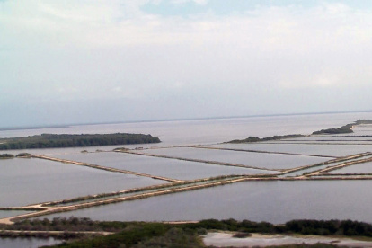 PISCINAS DE CRIANZA DE CAMARÓN DE LA EMPRESA CAMARONERA ECUATORIANA.